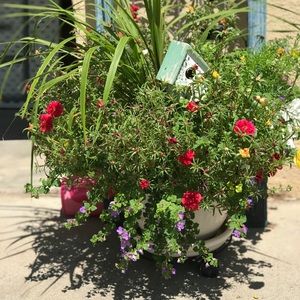 Meet your Posher, Hilda